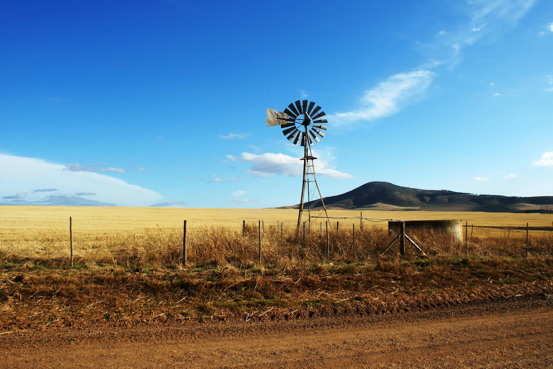 Farmers Must Not Pay the Price for Kallie Kriel’s Reckless Politics 